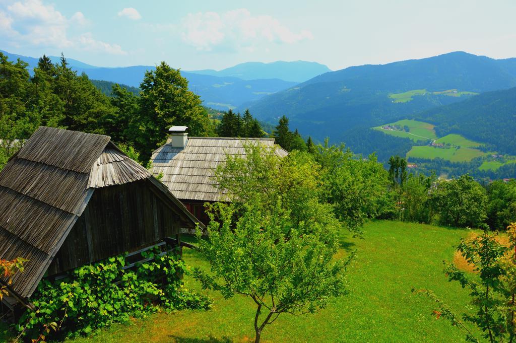 Domacija Koklej - Apartments Vintage Vacation Luče Kültér fotó