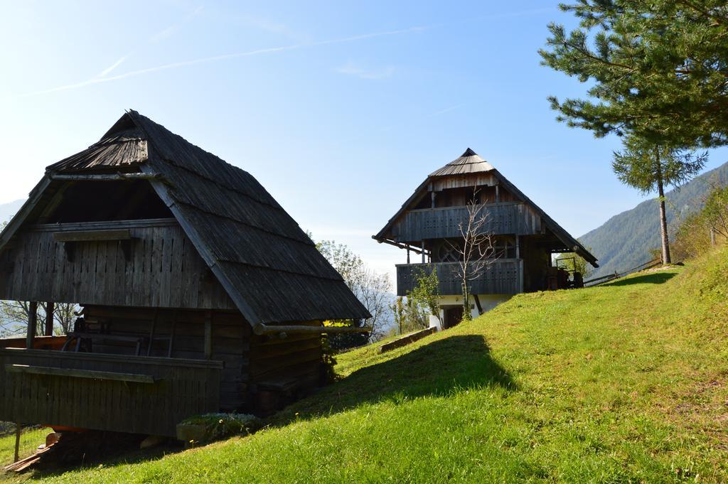 Domacija Koklej - Apartments Vintage Vacation Luče Kültér fotó