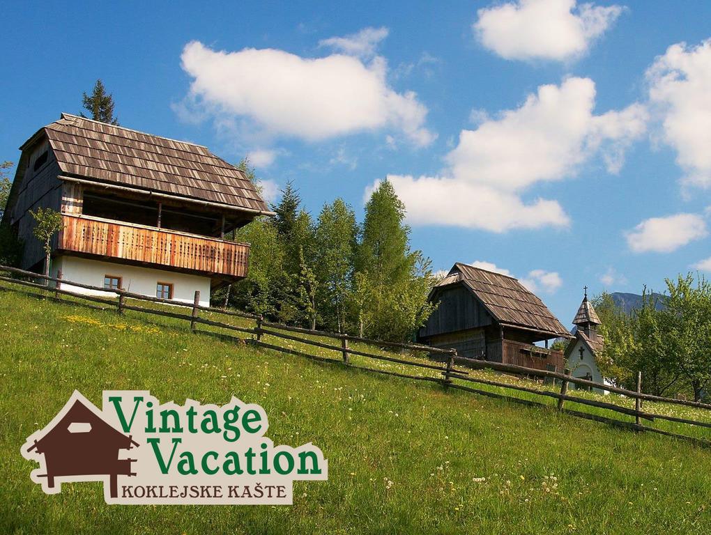 Domacija Koklej - Apartments Vintage Vacation Luče Kültér fotó