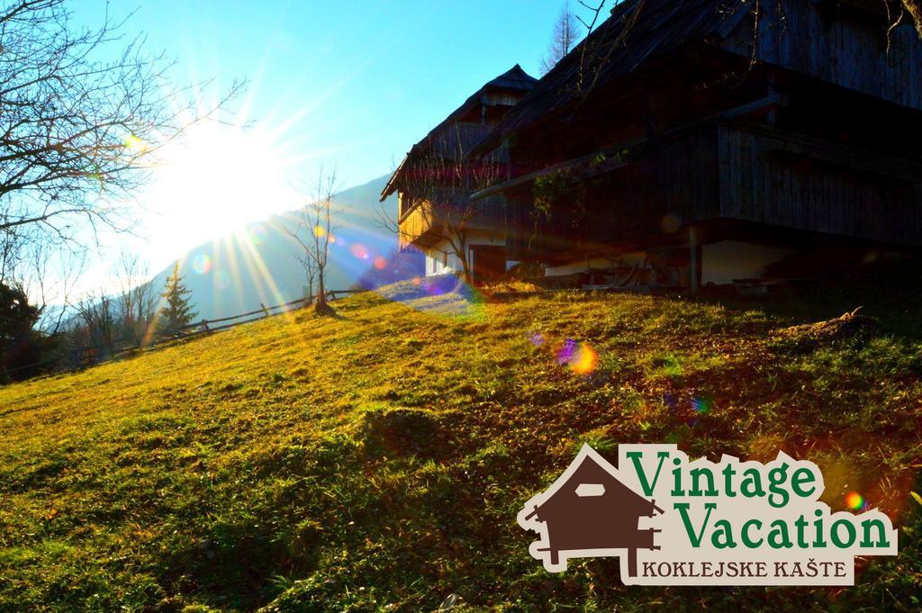 Domacija Koklej - Apartments Vintage Vacation Luče Kültér fotó