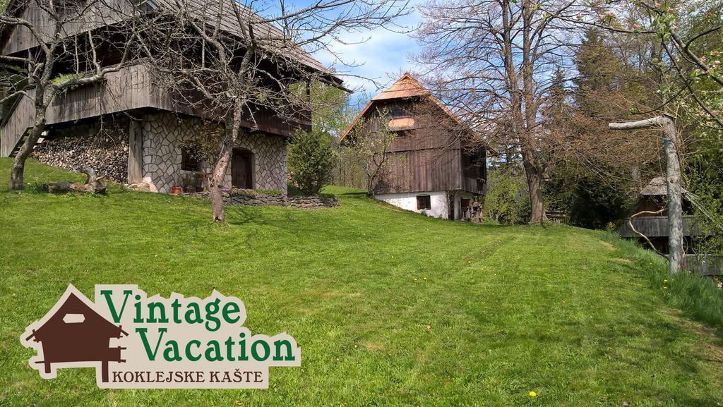Domacija Koklej - Apartments Vintage Vacation Luče Kültér fotó