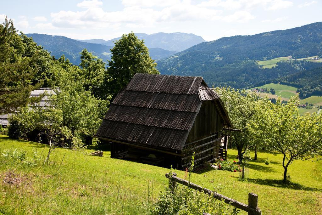 Domacija Koklej - Apartments Vintage Vacation Luče Kültér fotó