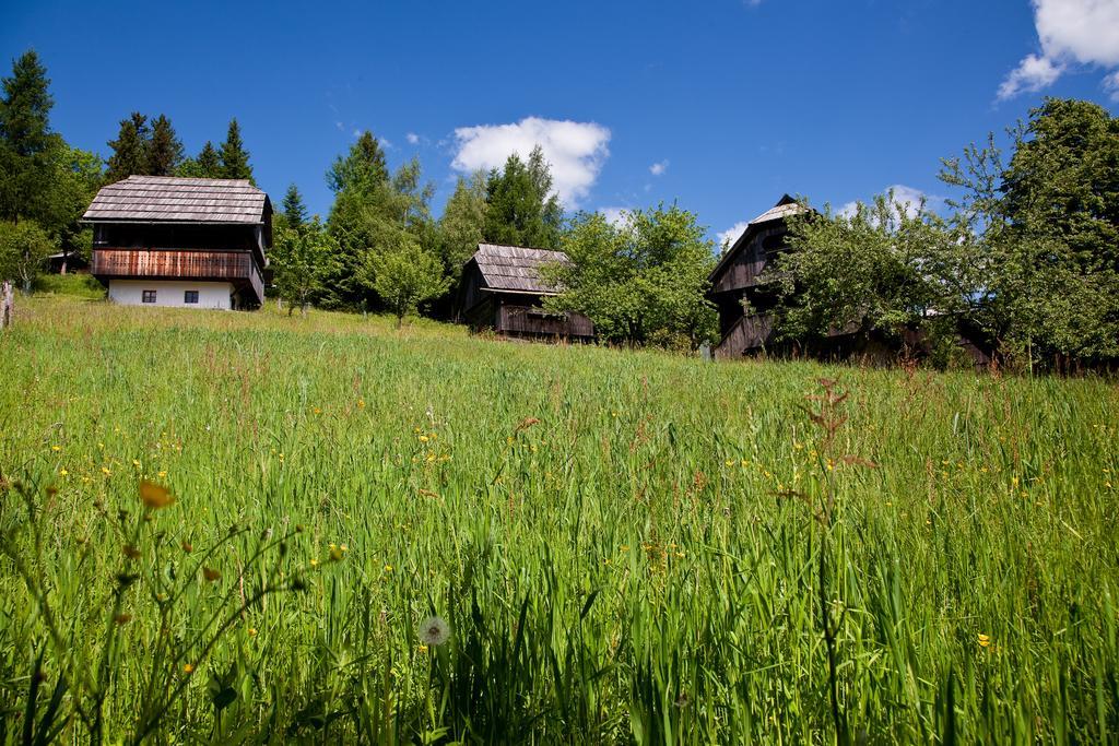 Domacija Koklej - Apartments Vintage Vacation Luče Kültér fotó