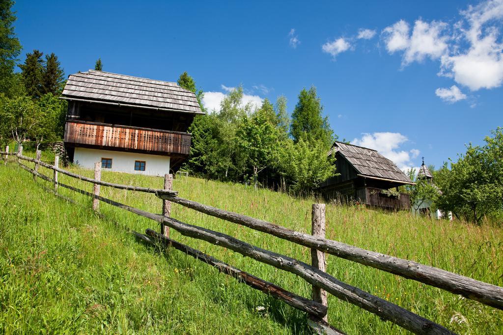 Domacija Koklej - Apartments Vintage Vacation Luče Kültér fotó