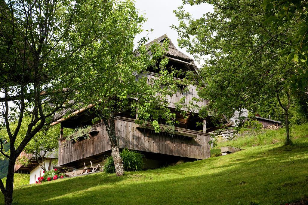 Domacija Koklej - Apartments Vintage Vacation Luče Kültér fotó