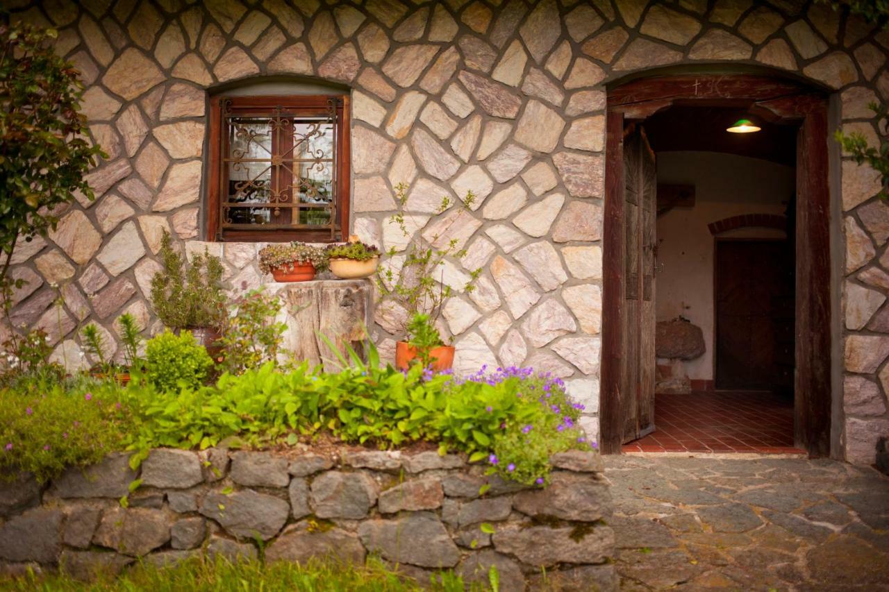 Domacija Koklej - Apartments Vintage Vacation Luče Kültér fotó