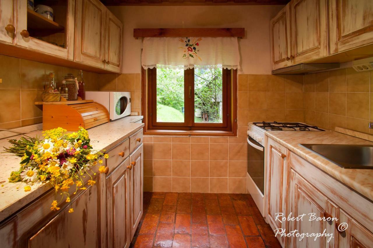 Domacija Koklej - Apartments Vintage Vacation Luče Kültér fotó